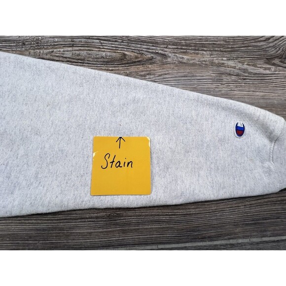 VTG Hope College Gray CHAMPION Reverse Weave SPELL OUT w SEAL Sweatshirt Men's L - Picture 10 of 12